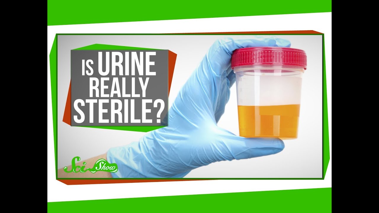 Is Urine Really Sterile?