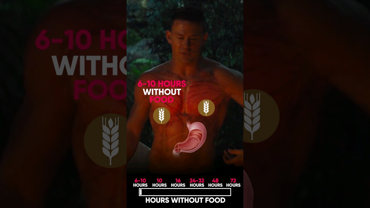 What Happens If You Eat NOTHING for 3 Days