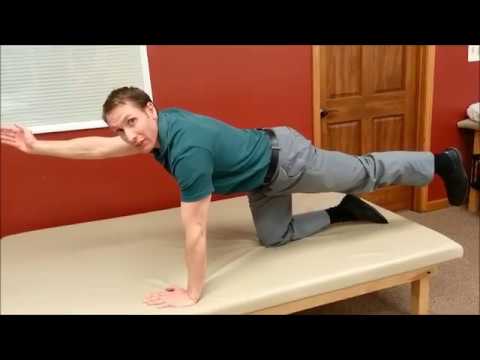 Bird Dog - Low Back Strengthening Exercise