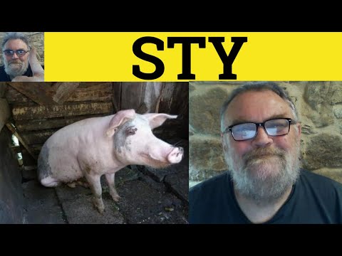 🔵 Sty Meaning - Sty Examples - Pigsty Defined - 3 Letter Words You Didn´t Know In English -RP Accent