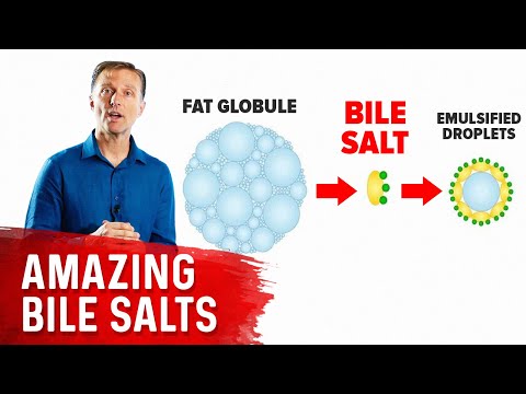 The 9 Benefits of Bile Salts