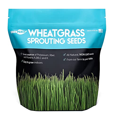 Wheatgrass Seeds Non GMO Grown in USA Wheat Grass Seeds from Our Farm to Your Table (Pound)