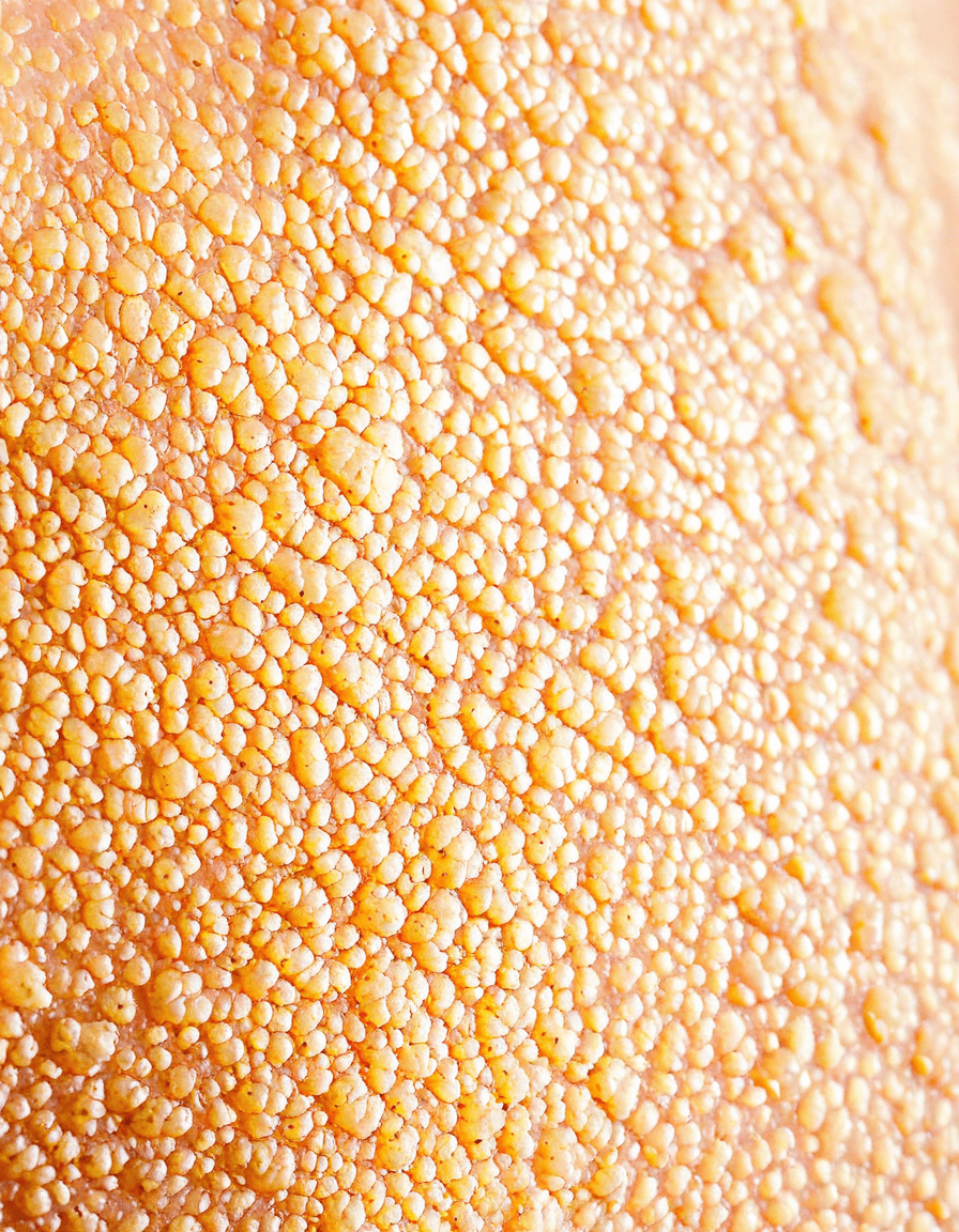 how to identify scabies